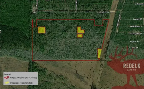 62.81 Acres Vacant Land