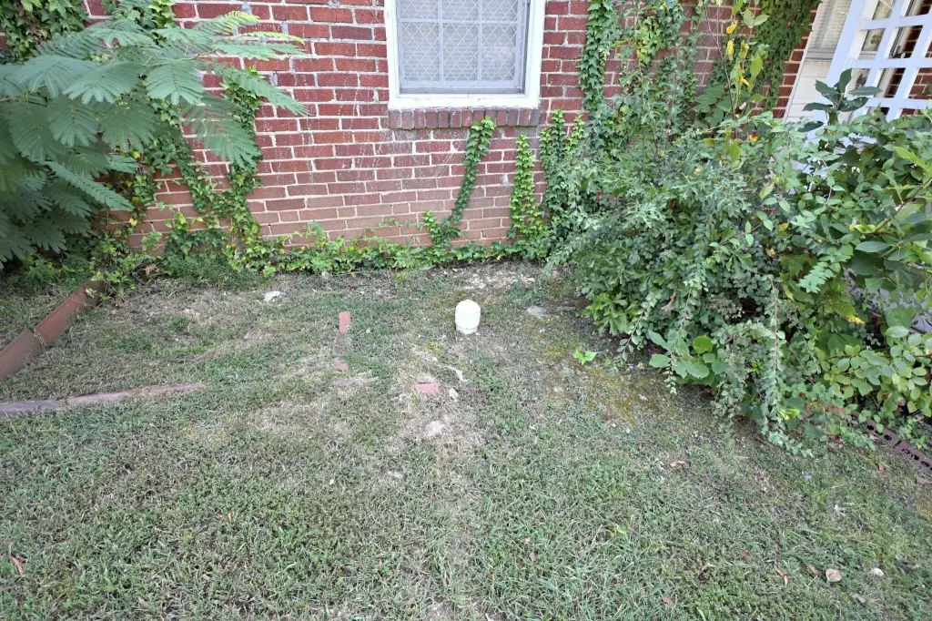 Picture 32