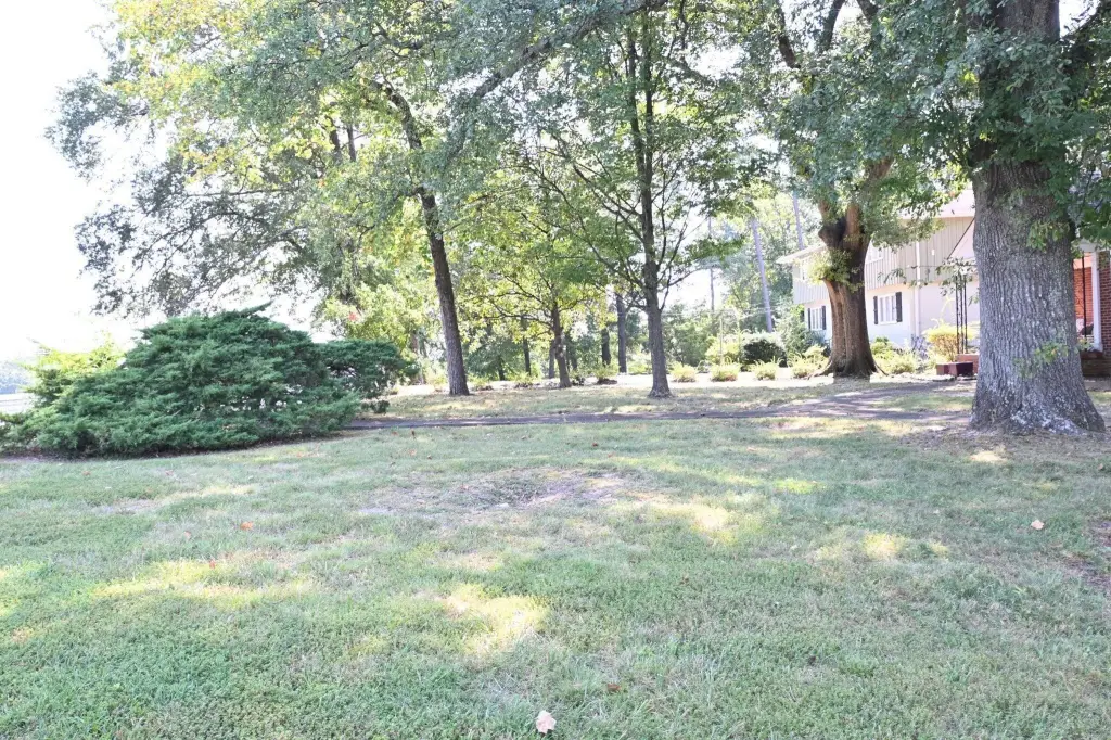 Picture 28