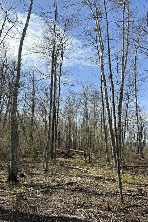 Picture 17