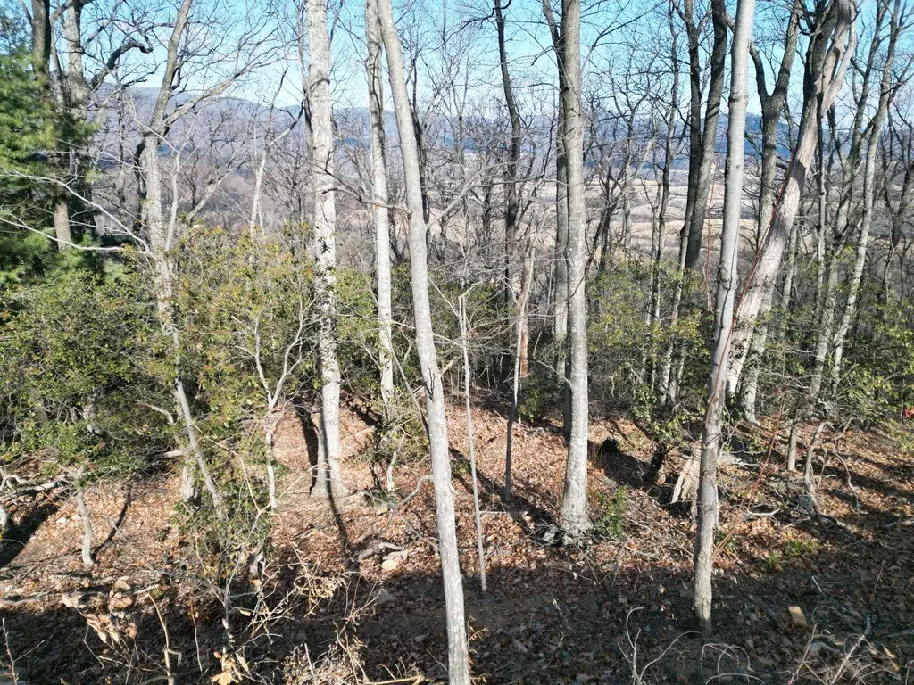 Picture 10