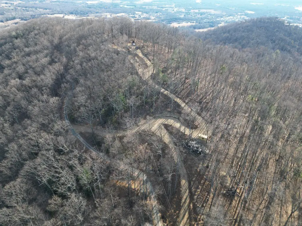 Picture 3