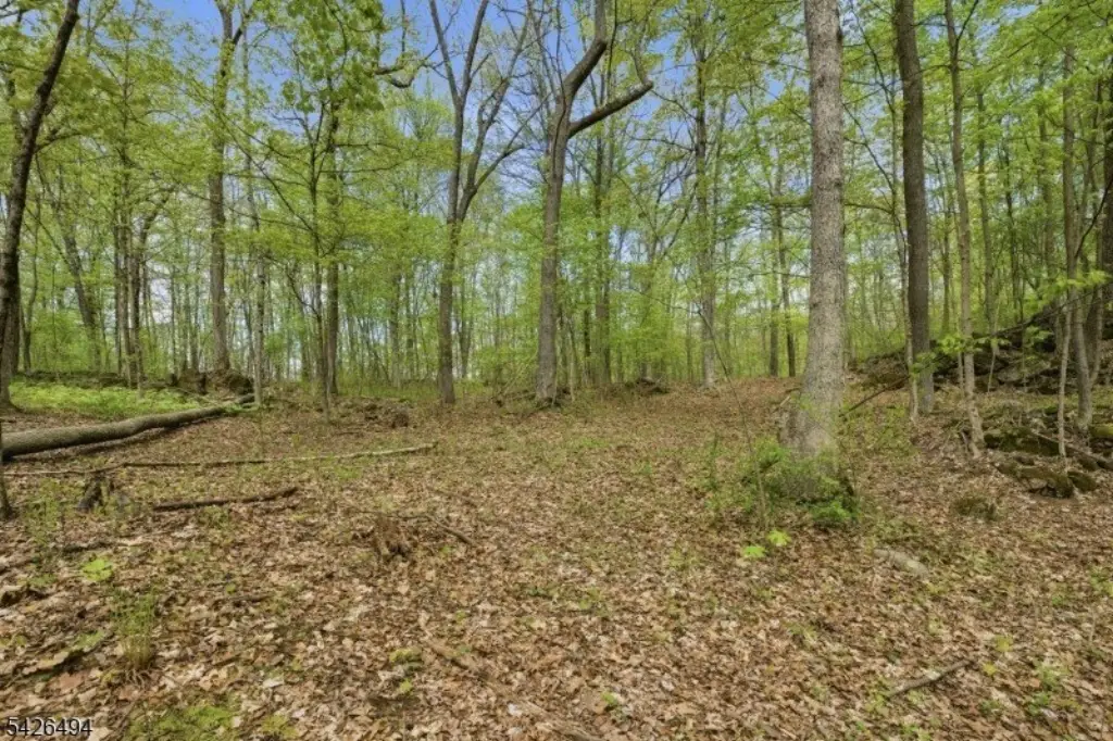 Picture 21