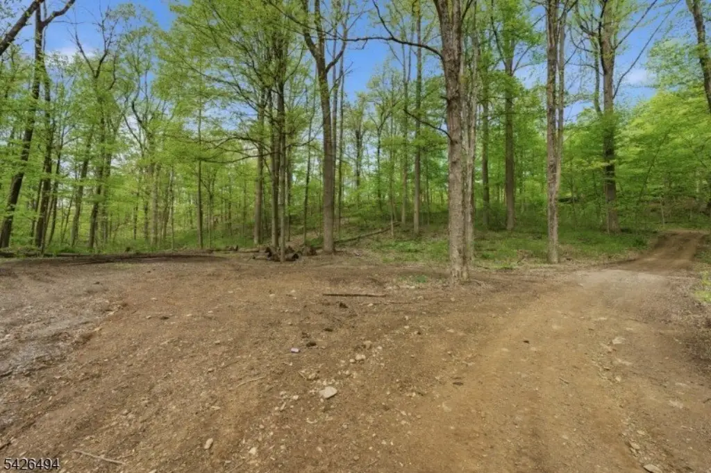 Picture 15