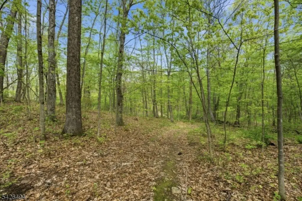 Picture 18