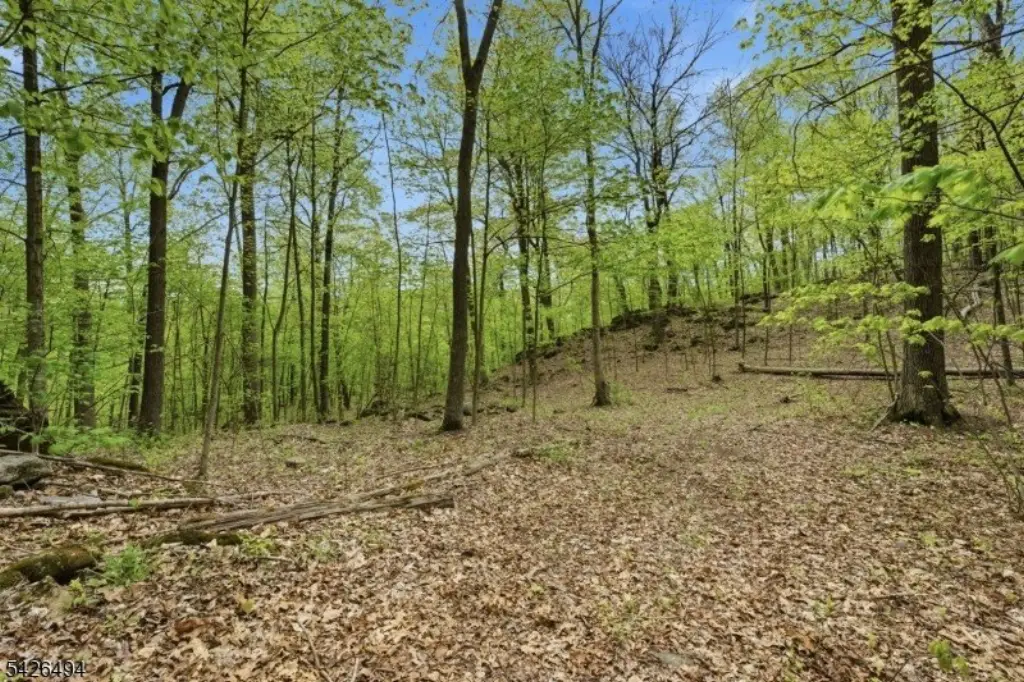 Picture 20