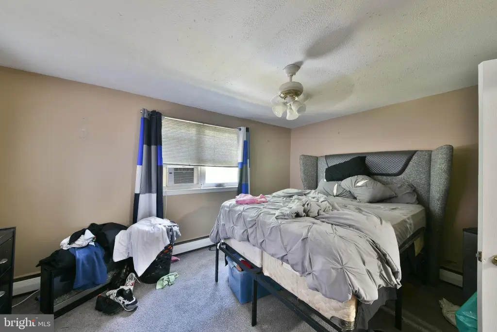 Picture 20