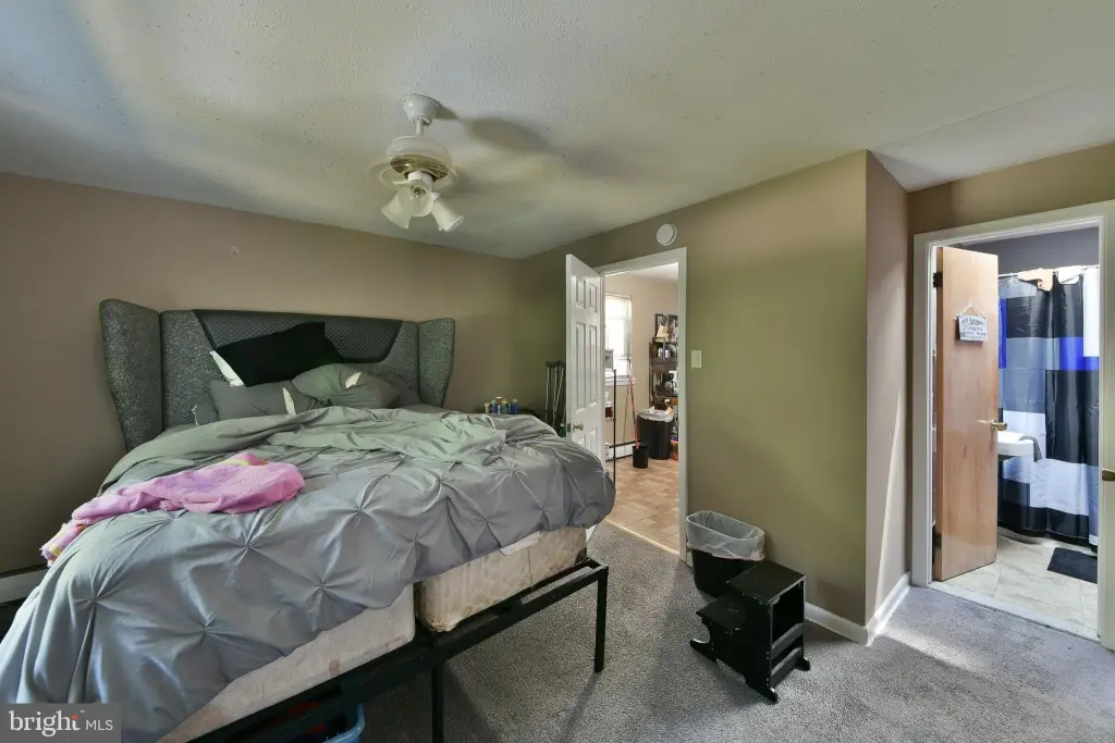 Picture 21