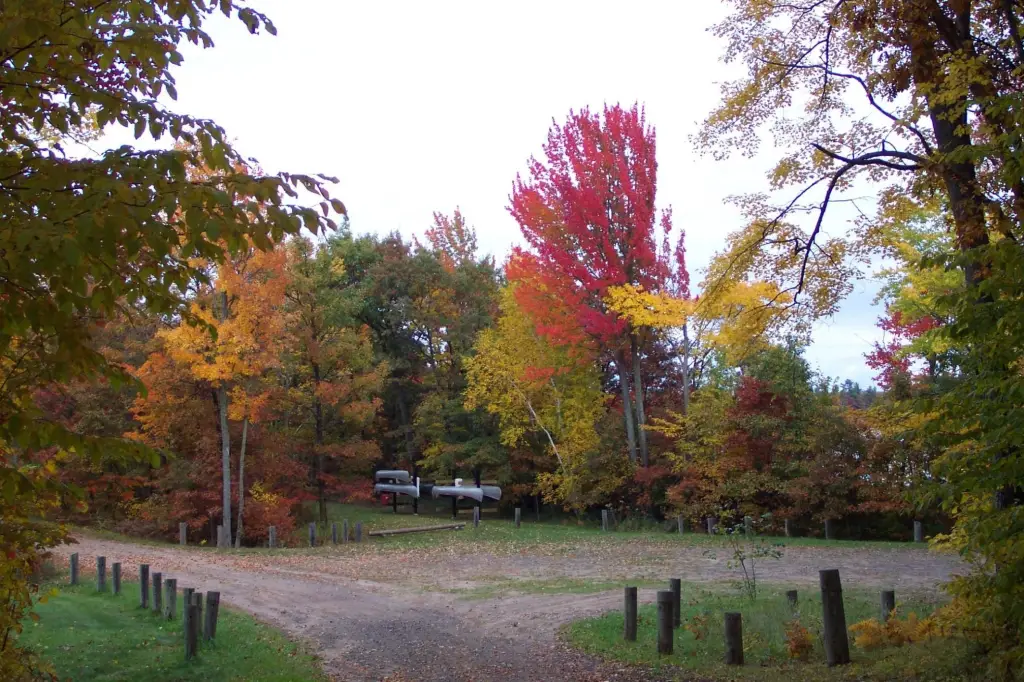 Picture 16