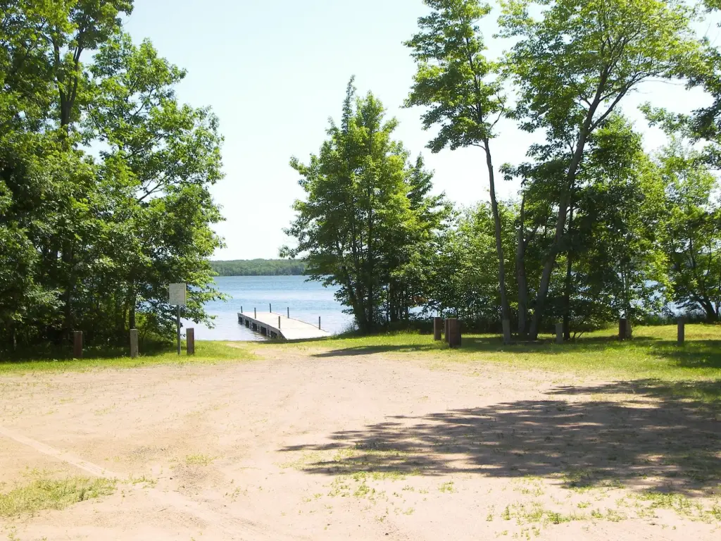 Picture 8