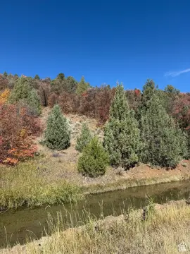 585 Acres in Preston, Idaho