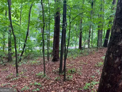 Land in Lake Club Community