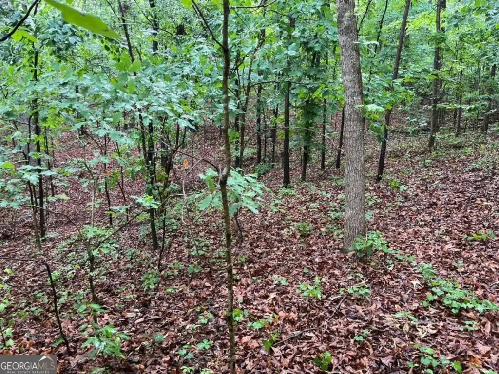 Picture 3