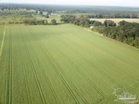 Milton Agricultural Land For Sale