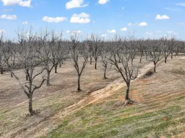 Granbury Land in Pecan Plantation