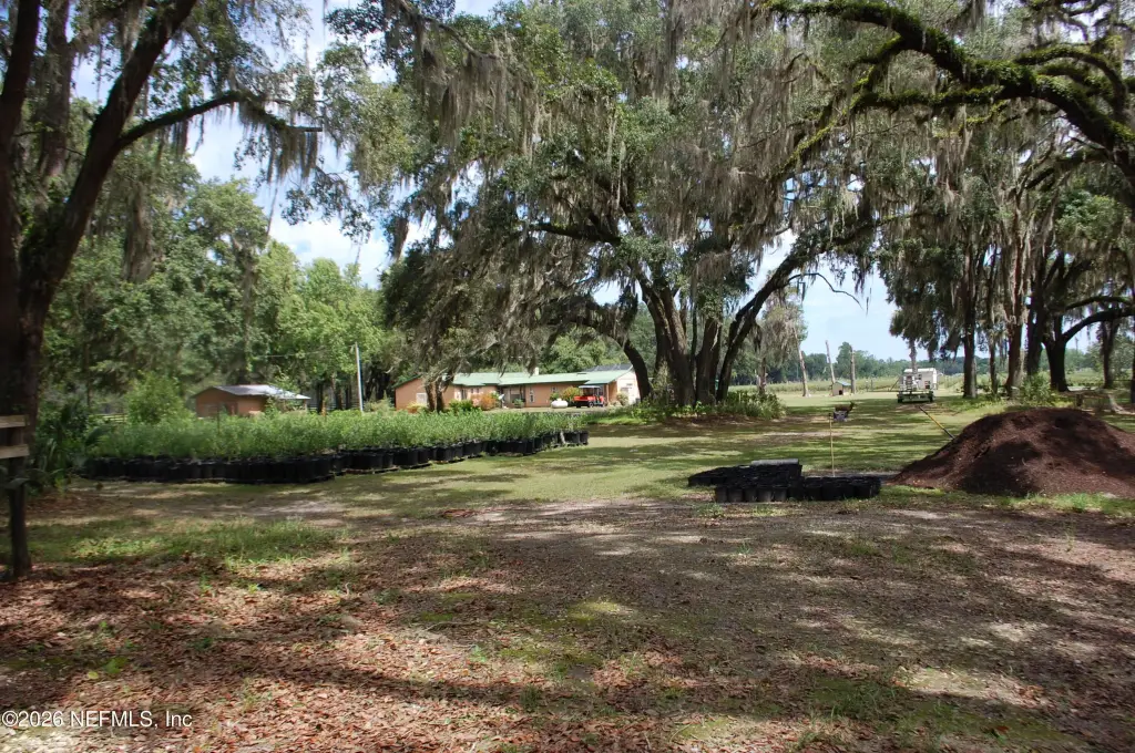 Picture 31