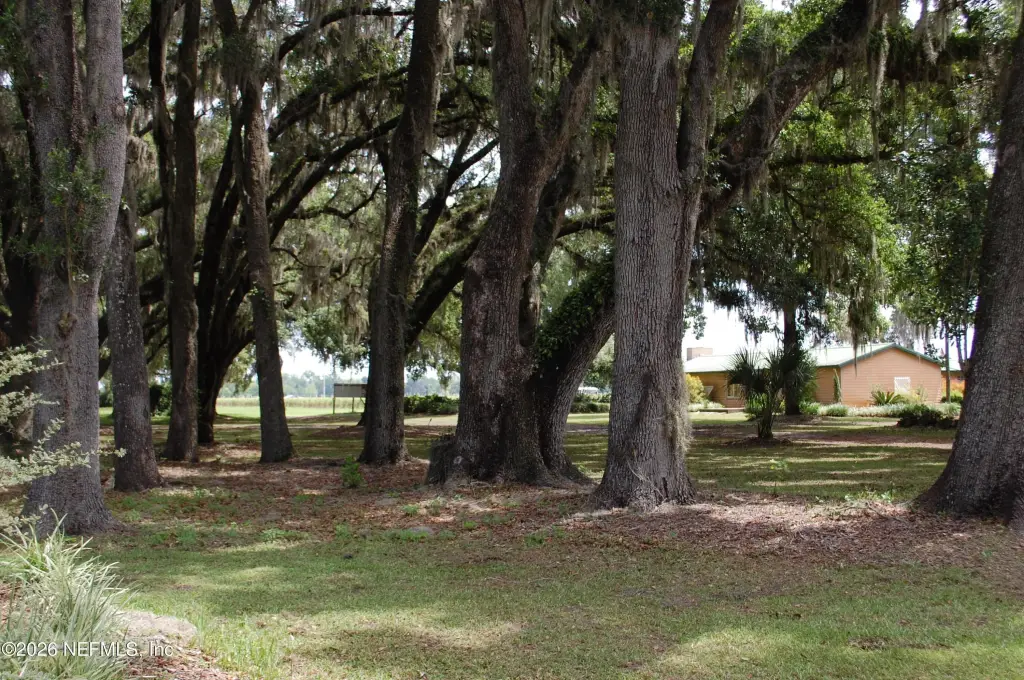 Picture 44