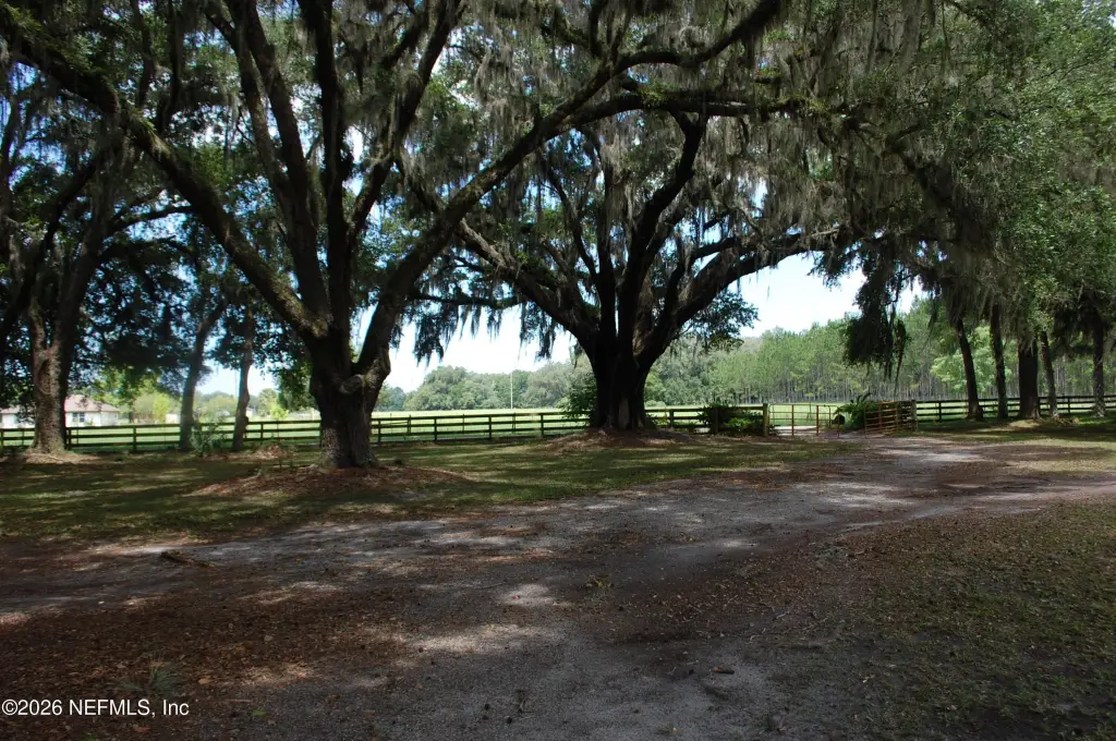 Picture 45