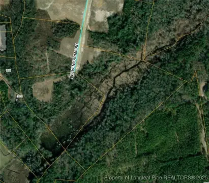 Salemburg, NC 19-Acre Lot