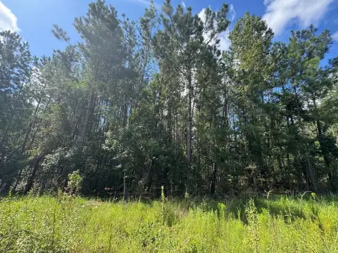 5 Acre Wooded Land Parcel