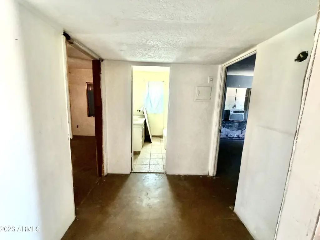 Picture 23