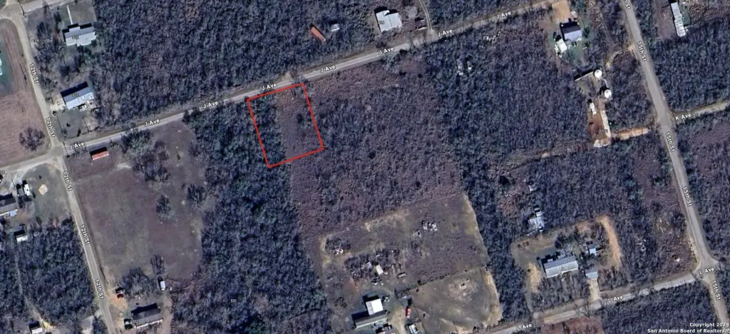 Picture 5