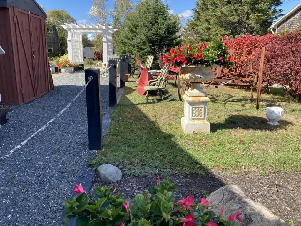 Picture 28
