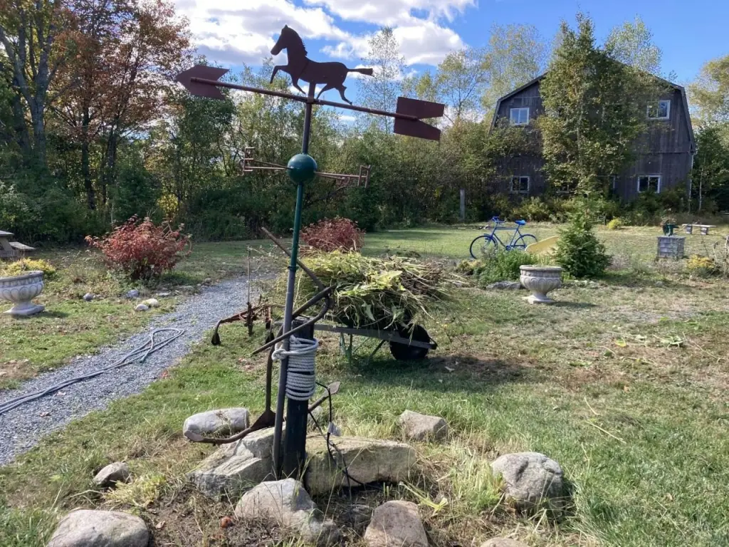 Picture 29