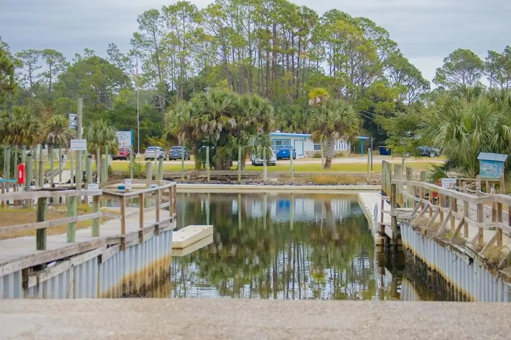 Picture 12