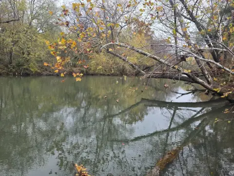 80 Acres Kiamichi River Frontage