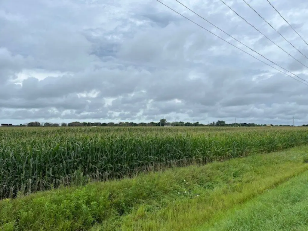 Picture 24