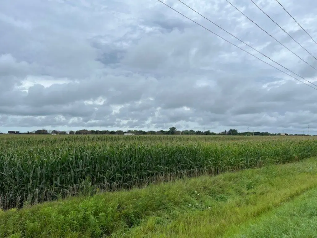 Picture 23