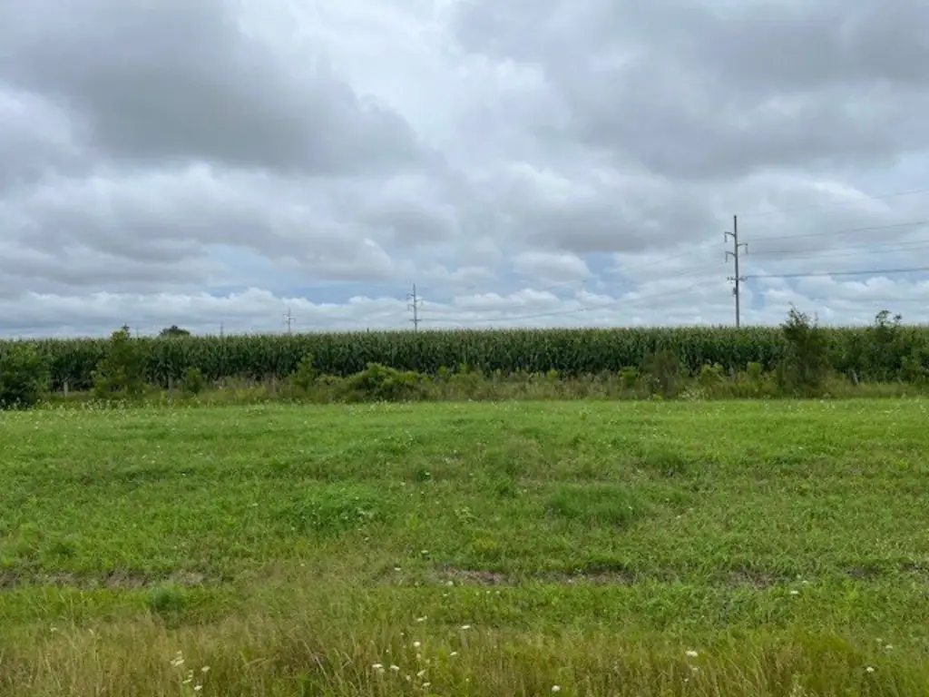Picture 28