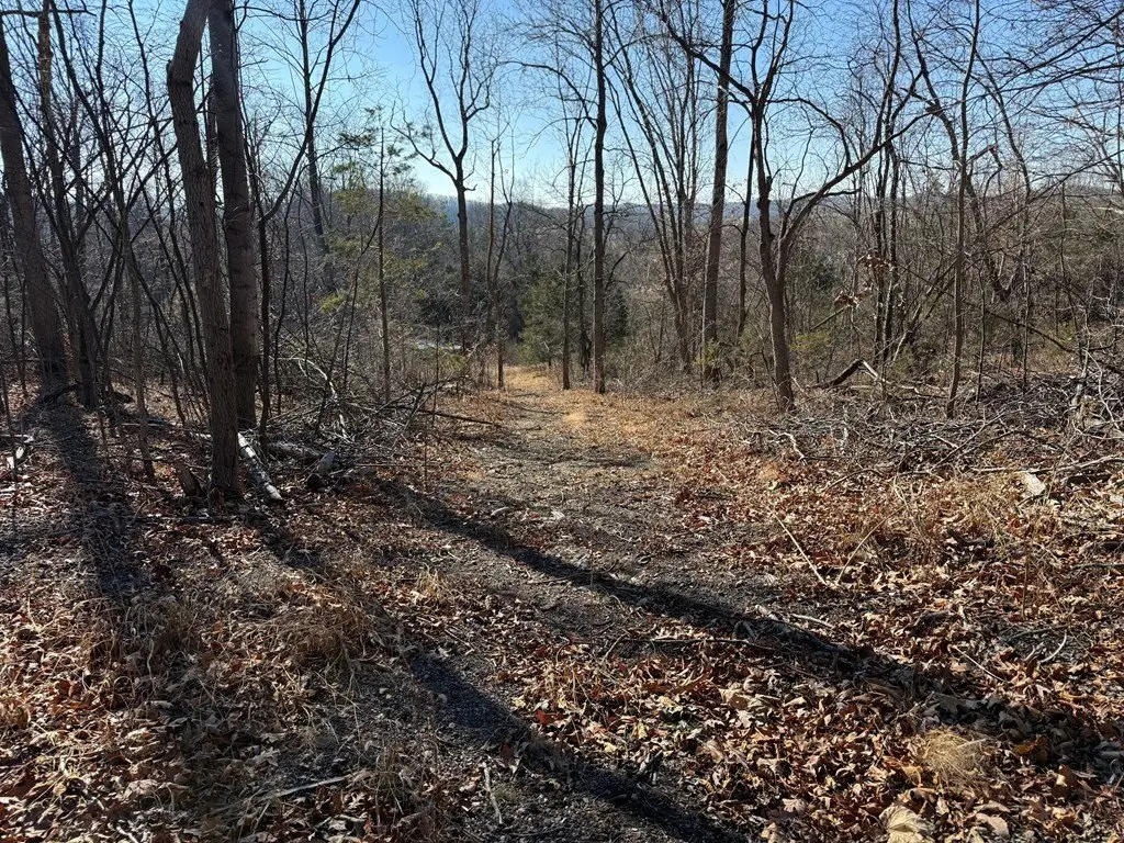 Picture 15