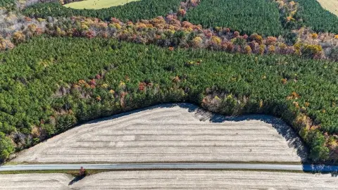 Undeveloped Land in Lunenburg County