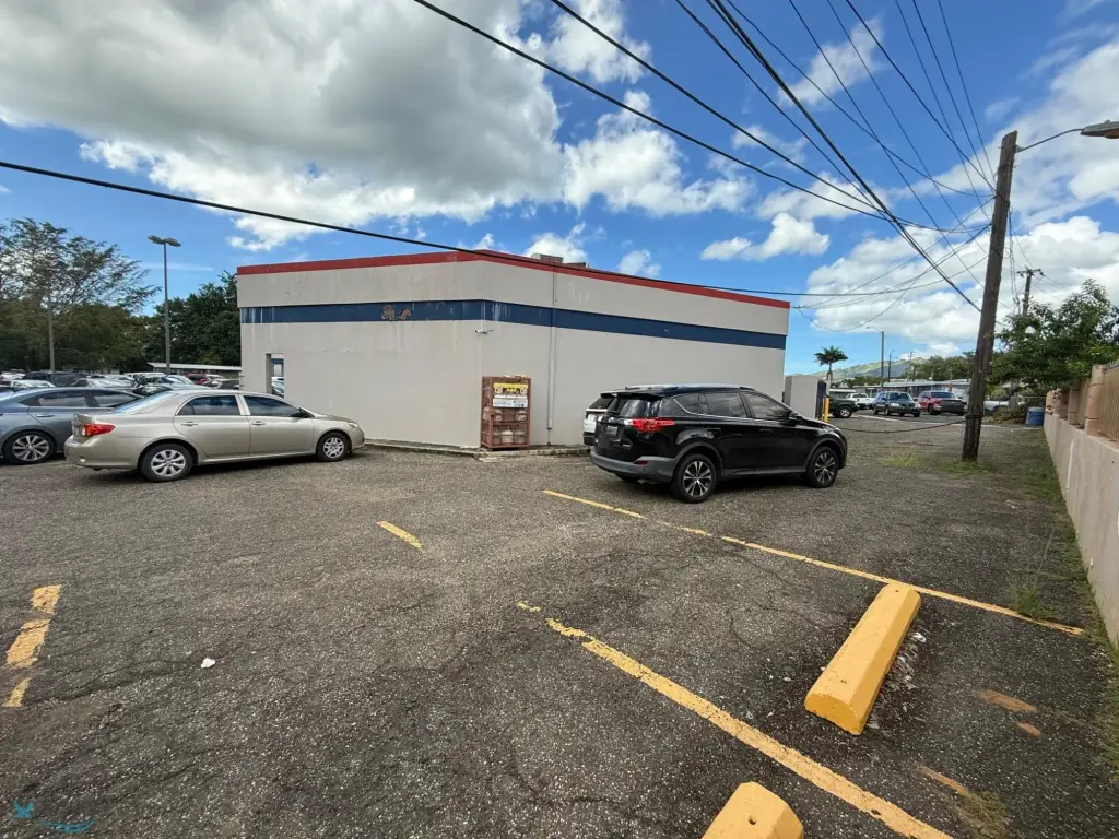 Picture 6