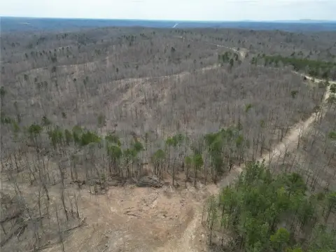 Unrestricted Wooded Land Near Creek
