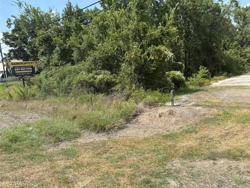 Picture 3
