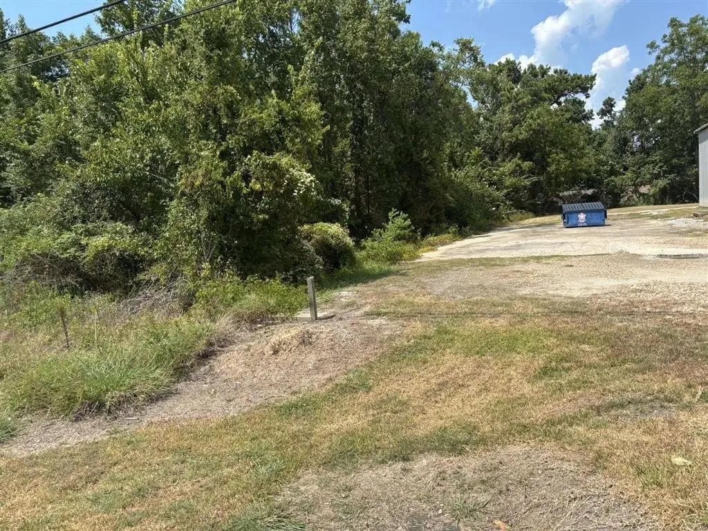 Picture 6