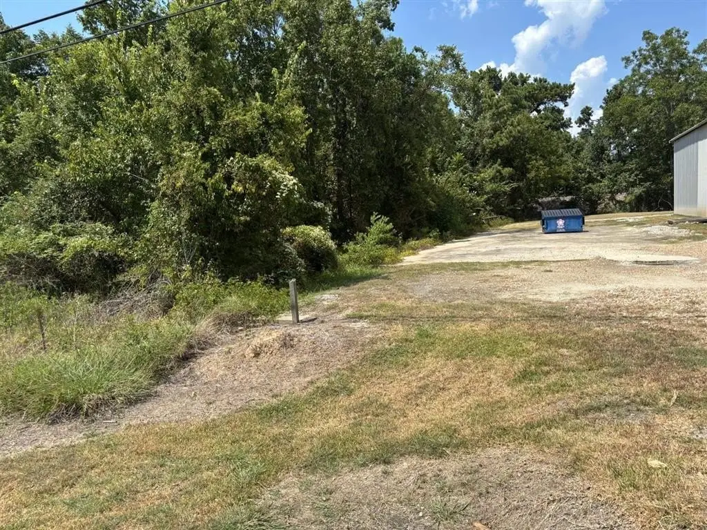 Picture 5