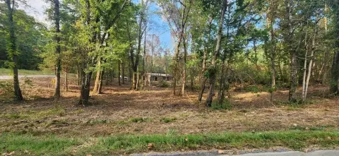 Ranger, GA - 3.47 Acre Lot