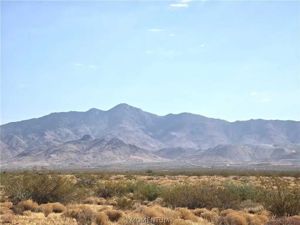 Picture 16