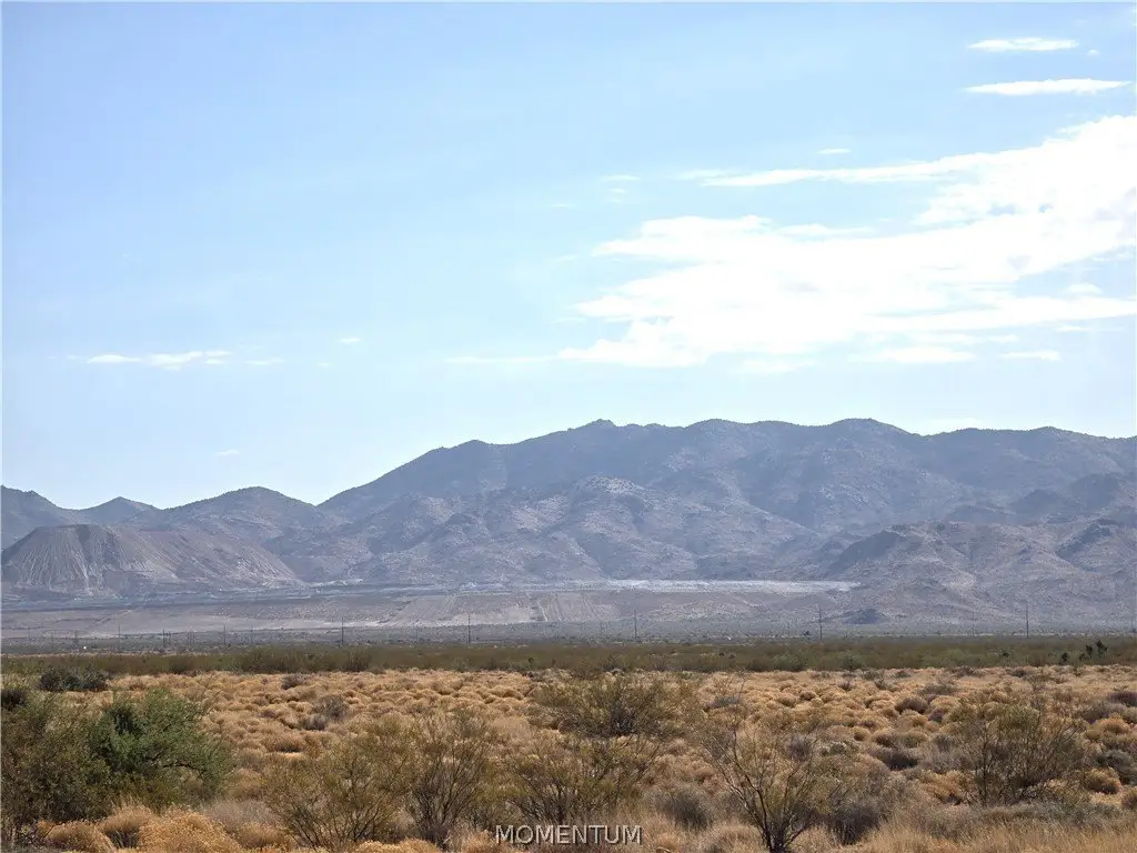 Picture 17