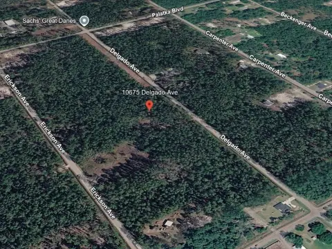 Wooded Lot in Flagler Estates
