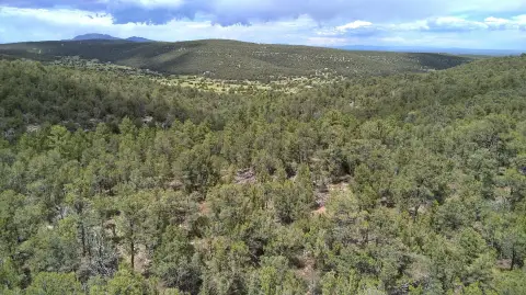 20 Acres in East Mountains
