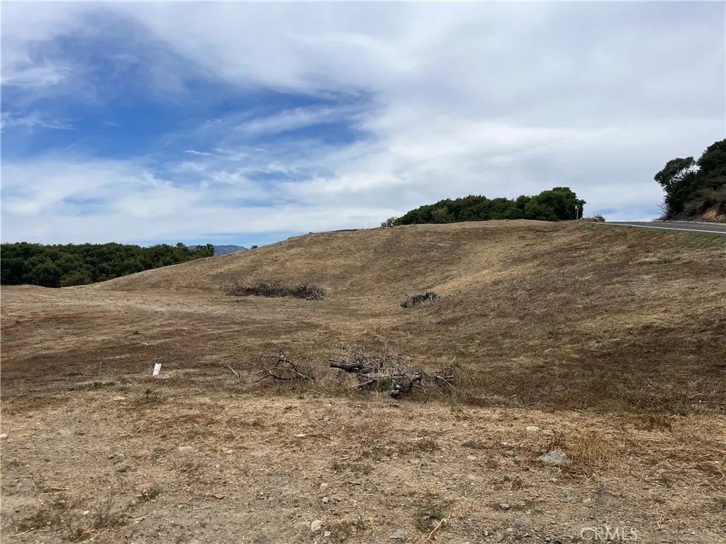 Picture 23
