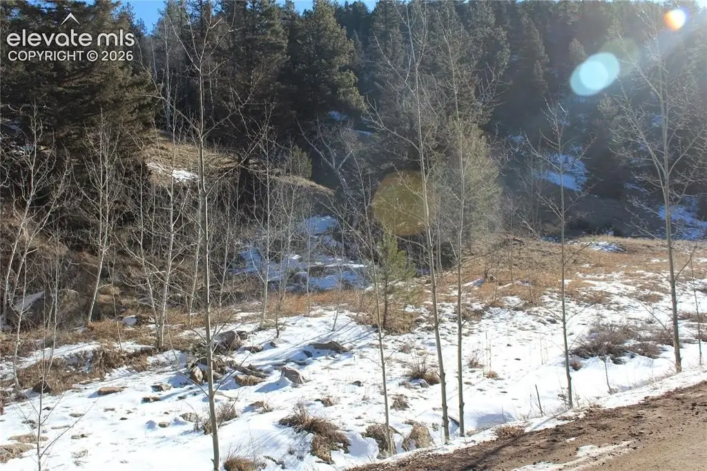 Picture 39