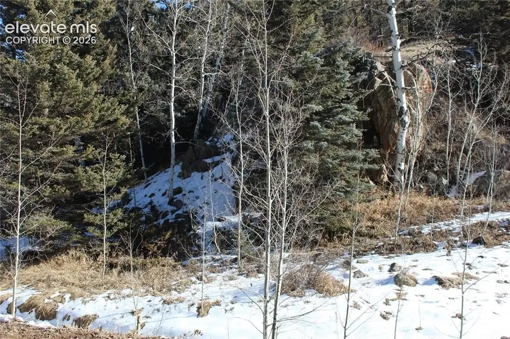 Picture 38