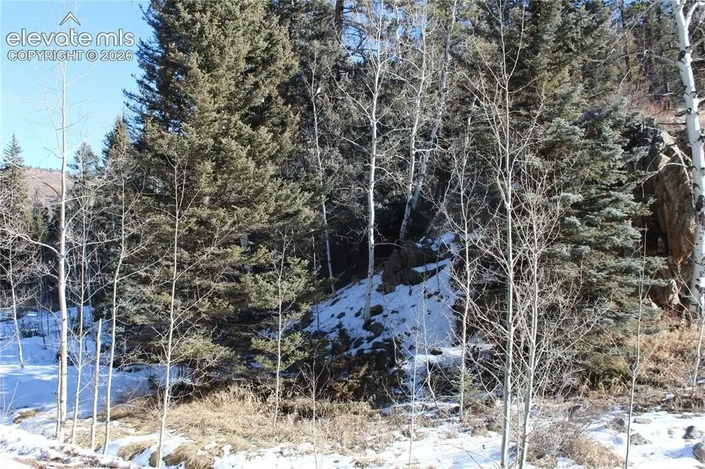 Picture 37