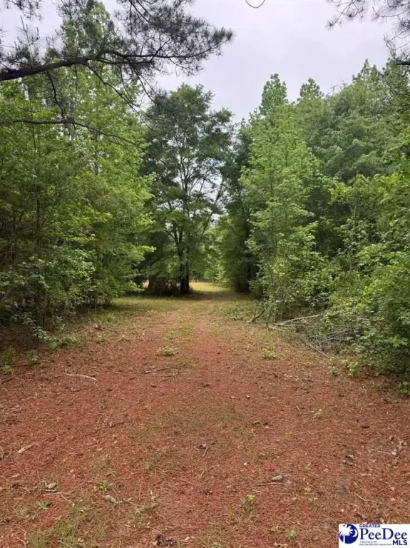 Picture 25